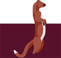 Graphic illustration of a mongoose